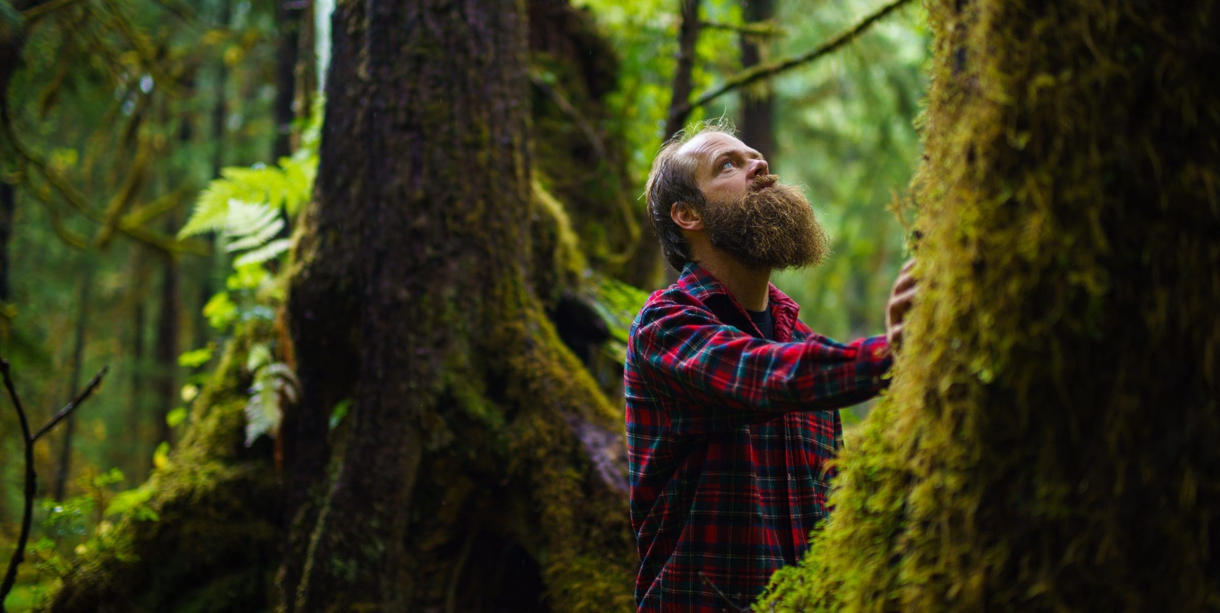 Image of a man in the Tongass forest